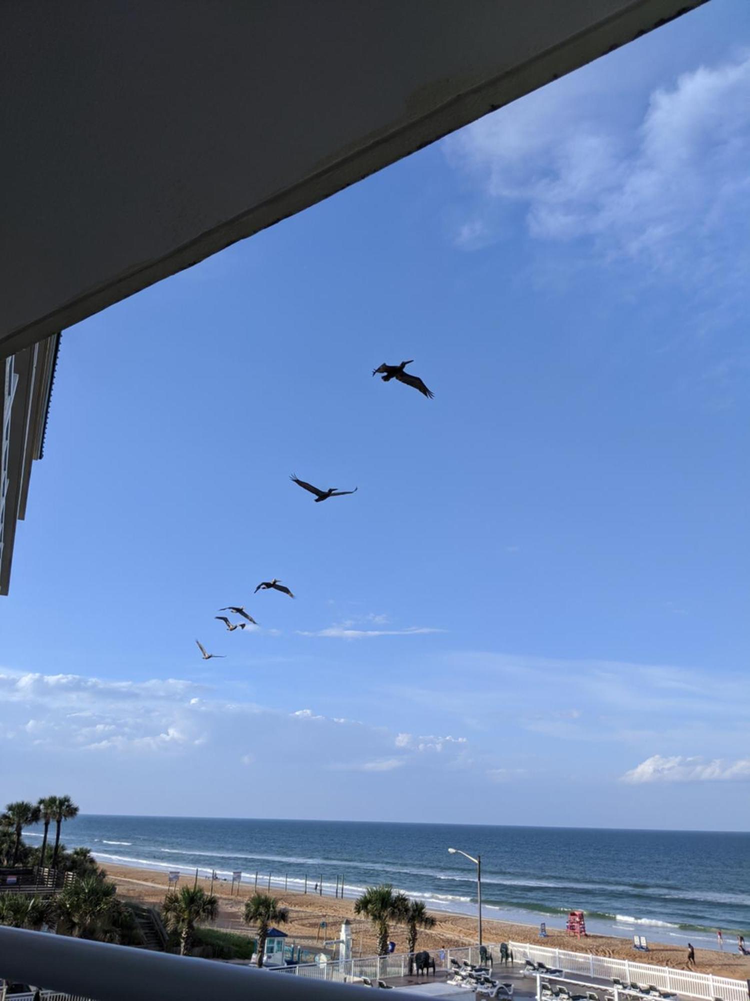 אורמונד ביץ Royal Floridian Resort By Spinnaker מראה חיצוני תמונה